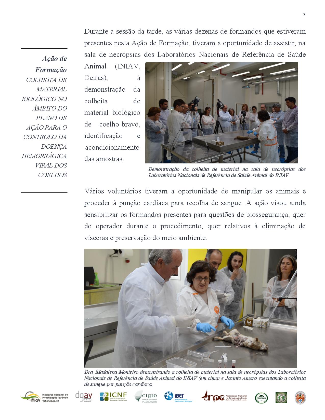noticia page 003